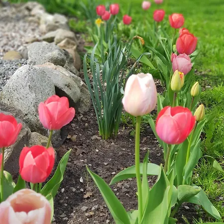 Toscana Restaurant And Guest house