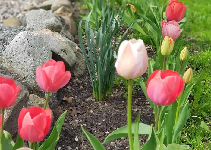 Toscana Restaurant And بيت ضيافة